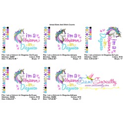 I am a Unicorn In Disguise Lettering Embroidery Design Pattern-2