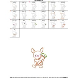 Easter Bunny With Carrot Applique Design Pattern-2