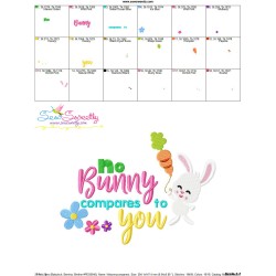 No Bunny Compares To You Easter Lettering Embroidery Design Pattern-3